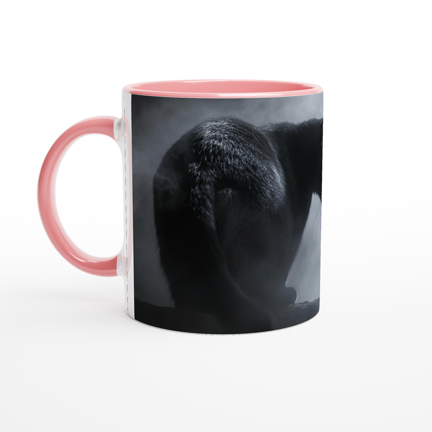 2df76329-7086-4bba-8579-162047f2e56c