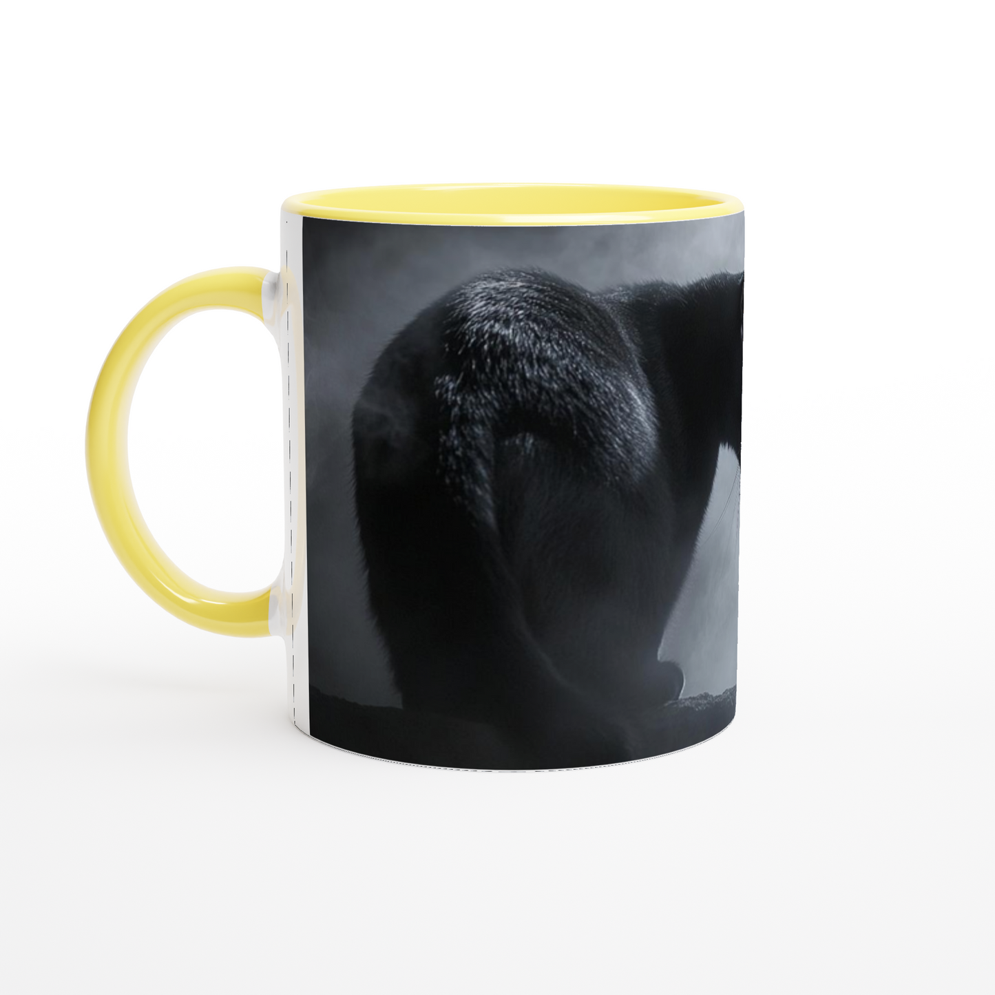 9ec75e69-2146-4300-879a-fddec018a8ae