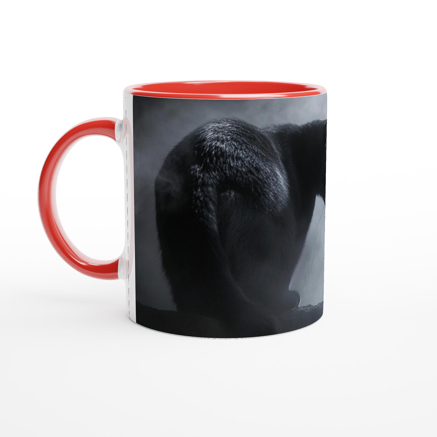 c97ccd80-ef81-4358-9a16-6d1e422dfb9b